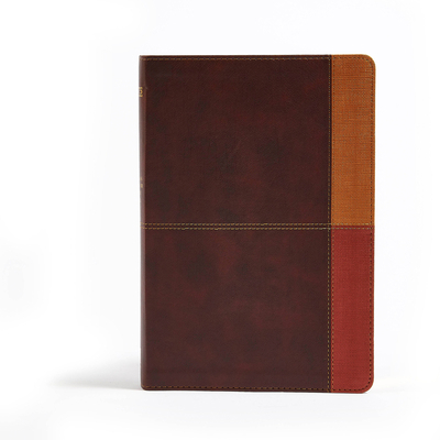 NIV Rainbow Study Bible, Cocoa/Terra Cotta/Ochr... 1433646129 Book Cover