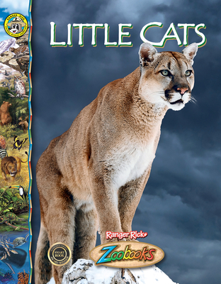 Little Cats 1644669242 Book Cover