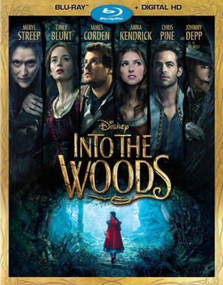 Into the Woods            Book Cover