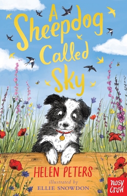 A Sheepdog Called Sky 0857639110 Book Cover