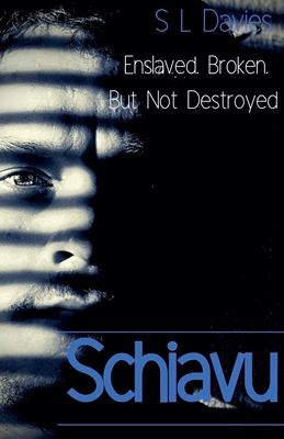 Schiavu B0BFWZHS11 Book Cover