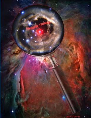 Unseen Things 1387417592 Book Cover
