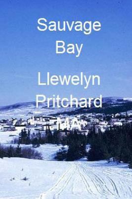 Sauvage Bay: Port Hope Simpson Mysteres [French] 148002693X Book Cover