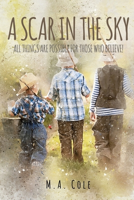 A Scar in the Sky 0578467186 Book Cover