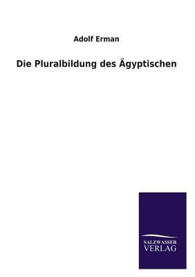 Die Pluralbildung Des Agyptischen [German] 3846046337 Book Cover