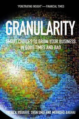 Granularity: Smart Choices to Grow Your Busines... 0462099652 Book Cover