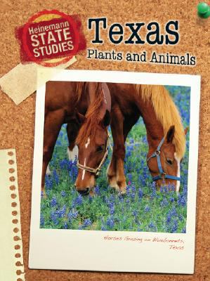 Texas Plants and Animals 1432911538 Book Cover