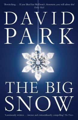 The Big Snow 0747599289 Book Cover