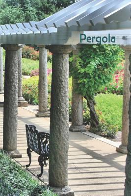 Pergola: Nature Lovers explore and Capture thos... 1793247323 Book Cover