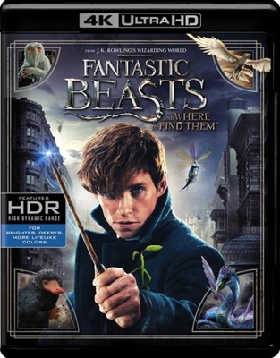 Fantastic Beasts and Where to Find Them            Book Cover