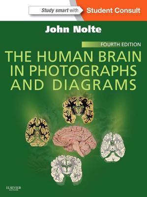 The Human Brain in Photographs and Diagrams 1455709611 Book Cover