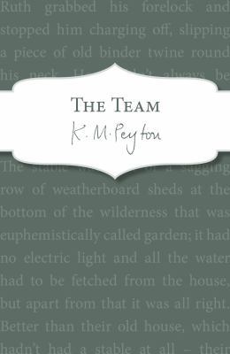 Team 178295113X Book Cover