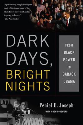 Dark Days, Bright Nights: From Black Power to B... 046503313X Book Cover