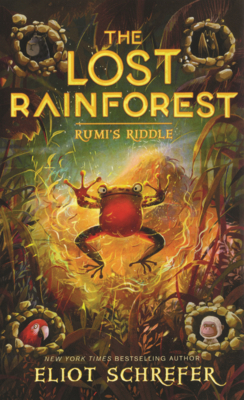 Rumi's Riddle B0GMZ2Q33K Book Cover
