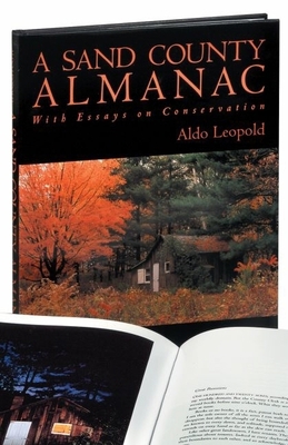 A Sand County Almanac 0195146174 Book Cover