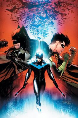 Nightwing Vol. 6: The Untouchable 1401281656 Book Cover