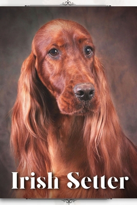 Irish Setter: Dog breed overview and guide B0C9S8P6BV Book Cover