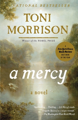 A Mercy 0676978312 Book Cover