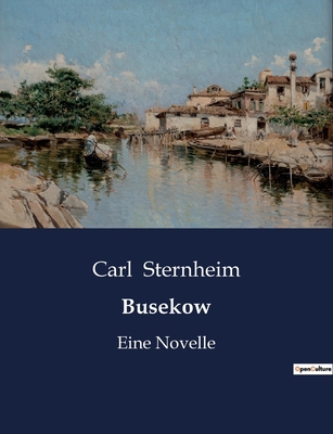 Busekow: Eine Novelle [German] B0BZQWPSNB Book Cover