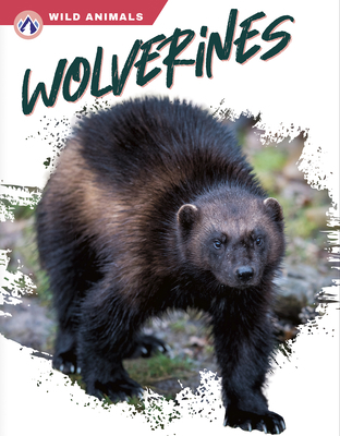 Wolverines 1637384734 Book Cover