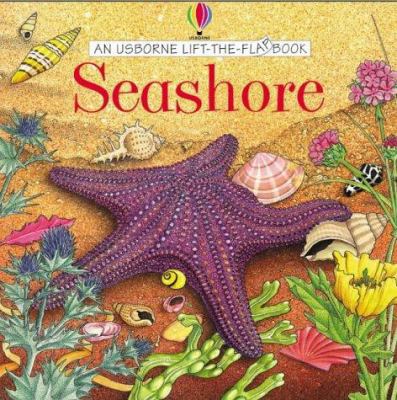 On the Beach (Lift-the-flap Learners) (Usborne ... 0746042019 Book Cover