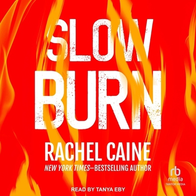 Slow Burn B0DKW1VGCQ Book Cover