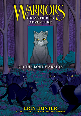 Lost Warrior 1098255410 Book Cover