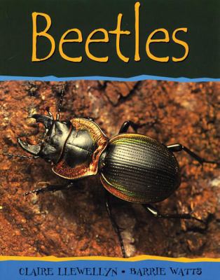 Beetles (Minibeasts) 0531148297 Book Cover