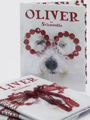 OLIVER the Schnoodle 0692645284 Book Cover