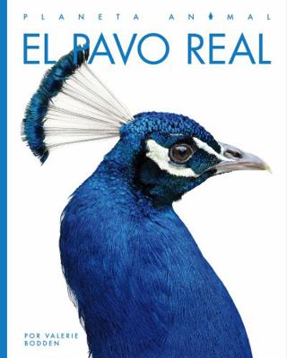 El Pavo Real [Spanish] 1640265856 Book Cover