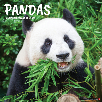 Pandas 2026 Wall Calendar 1549256041 Book Cover