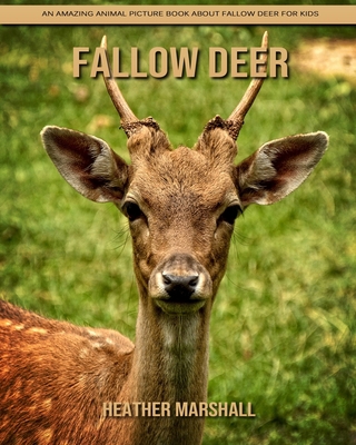 Paperback Fallow Deer: An Amazing Animal Picture Book about Fallow Deer for Kids [Large Print] Book