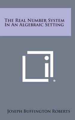 The Real Number System in an Algebraic Setting 1258808587 Book Cover