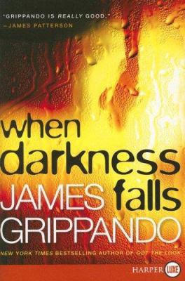When Darkness Falls [Large Print] 0060831154 Book Cover
