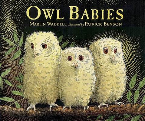 Owl Babies 0763612839 Book Cover