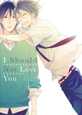 I Should Not Love You 1569704015 Book Cover