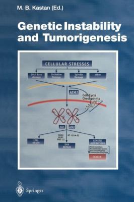 Genetic Instability and Tumorigenesis 3642644341 Book Cover