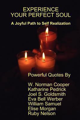 Experience Your Perfect Soul 1937995844 Book Cover