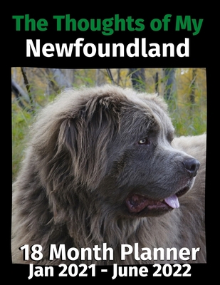 The Thoughts of My Newfoundland: 18 Month Plann... B08HGNS78W Book Cover