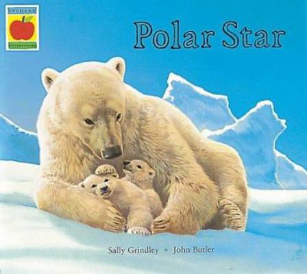 Polar Star (Orchard Picturebooks) 1841211494 Book Cover