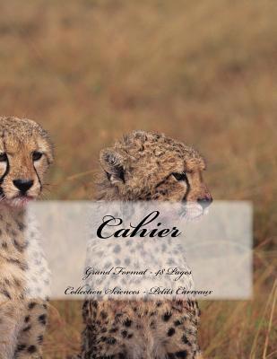 Cahier - Grand Format - 48 pages - Collection S... [French] 151695341X Book Cover