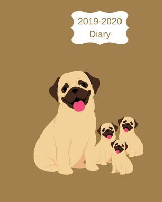 2019-2020 Diary: 8x10 Day to a Page Academic Ye... 1798616653 Book Cover