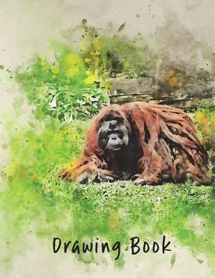 Drawing Book: Orangutang 172348475X Book Cover