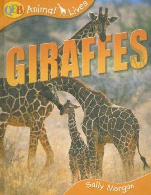 Giraffes (Qeb Animal Lives) 1595662014 Book Cover