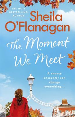 Moment We Meet EXPORT 1473699118 Book Cover