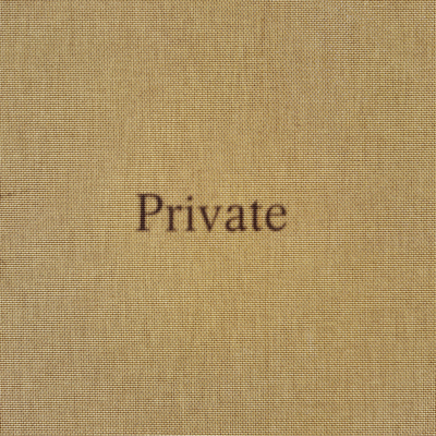 Tod Lippy: Private B0CPCHK9LL Book Cover