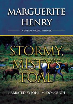 Stormy, Misty's Foal 0788749412 Book Cover