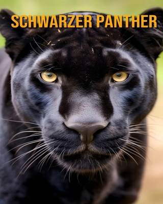 Schwarzer Panther: Ein erstaunliches Kinderbuch... [German] B0CZF5JQLQ Book Cover