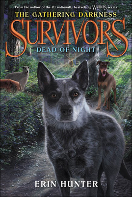 Dead of Night 0606396217 Book Cover