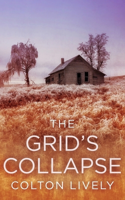 The Grid's Collapse B0C6C39WDR Book Cover